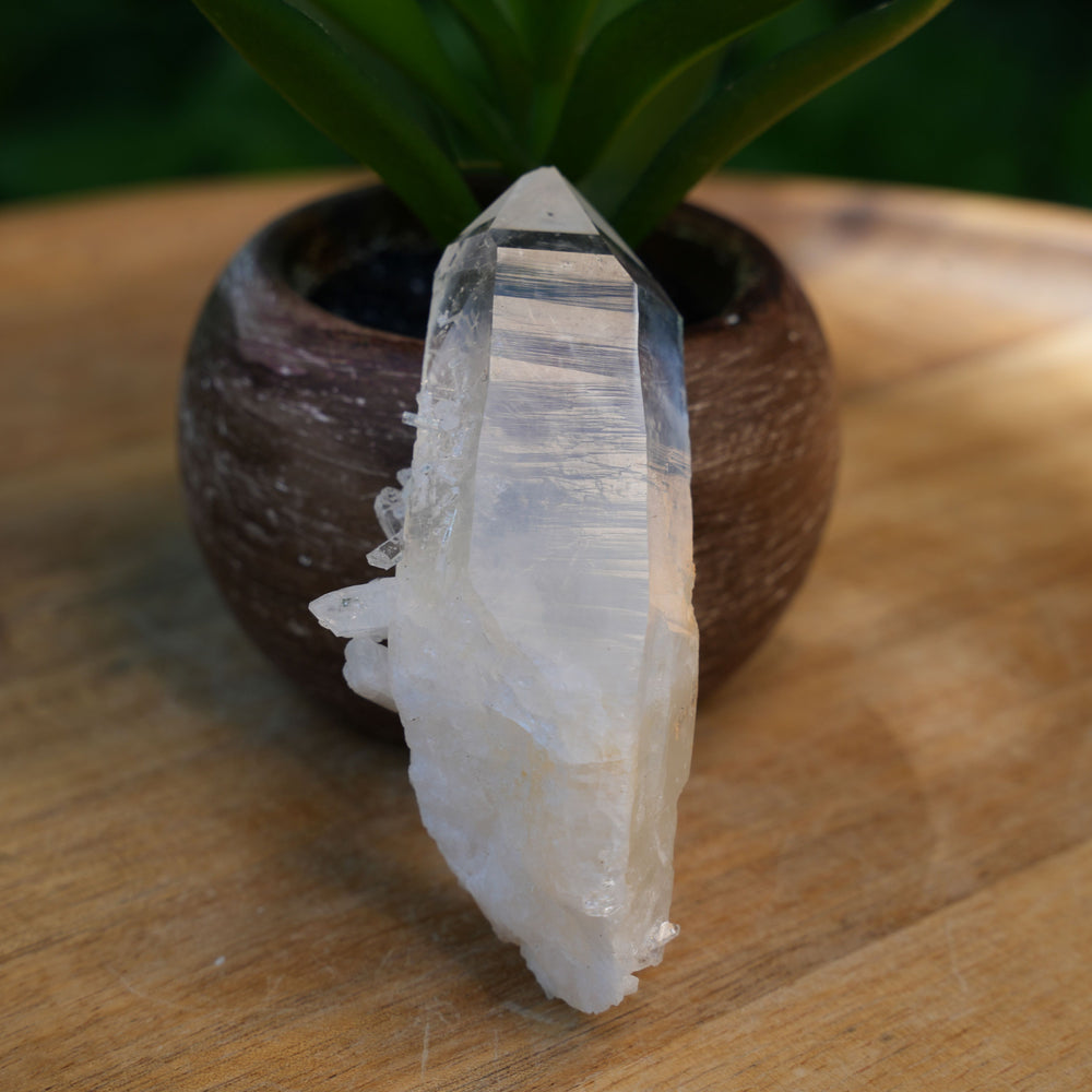 
                  
                    Raw Lemurian Flat Points | AAA Grade | Reiki Infused
                  
                