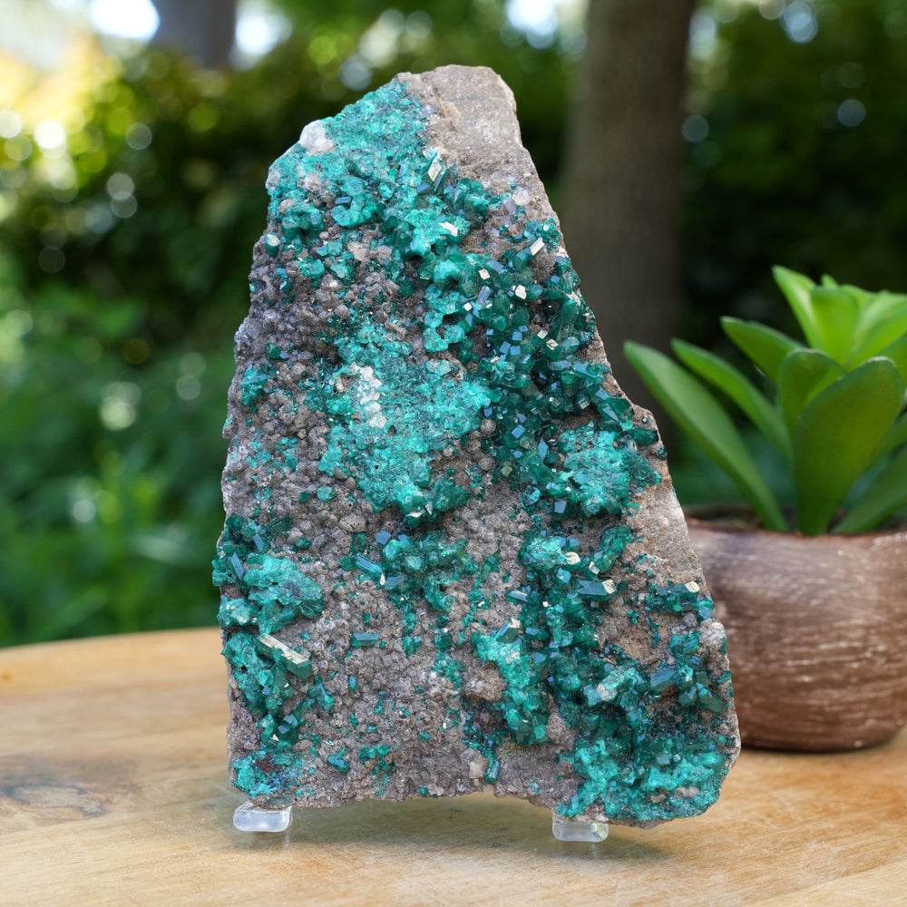 Rare Authentic Dioptase Cluster | AAA Grade | Reiki Infused