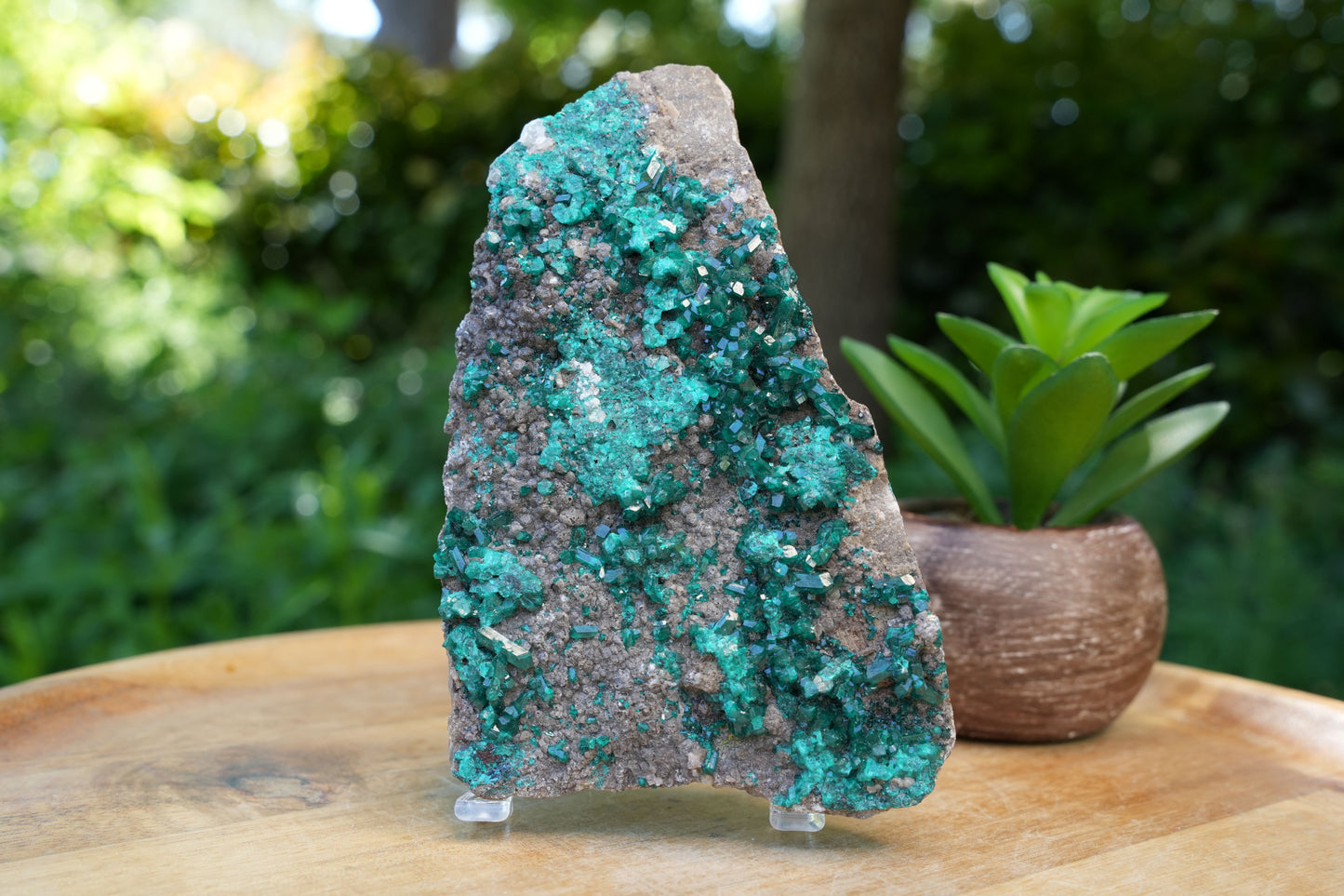 Rare Authentic Dioptase Cluster | AAA Grade | Reiki Infused