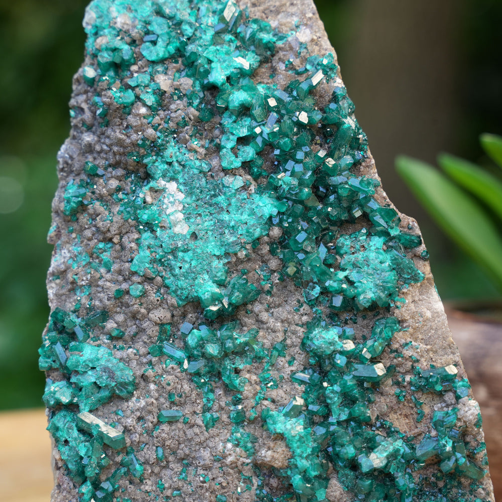 Rare Authentic Dioptase Cluster | AAA Grade | Reiki Infused