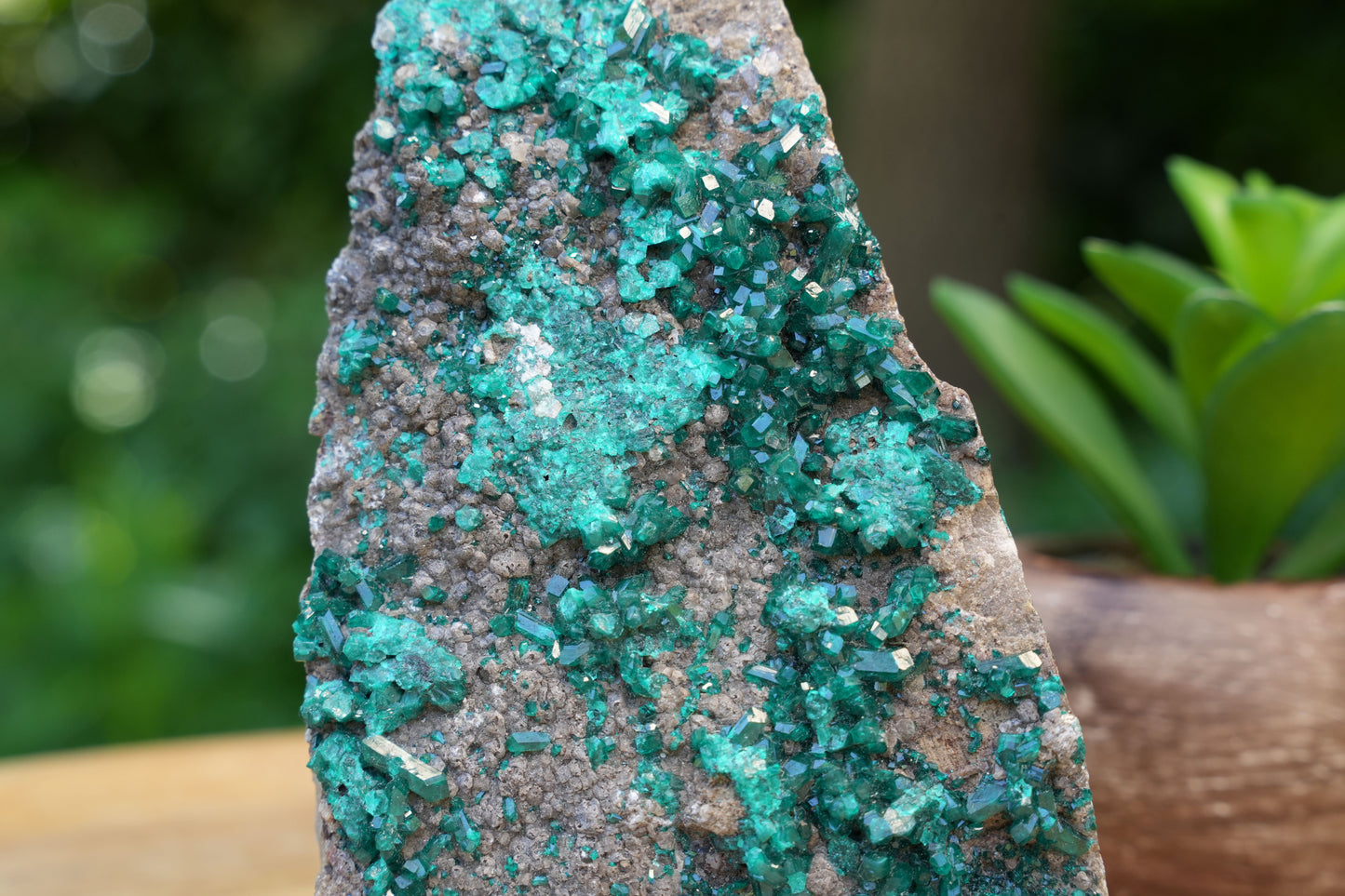 Rare Authentic Dioptase Cluster | AAA Grade | Reiki Infused