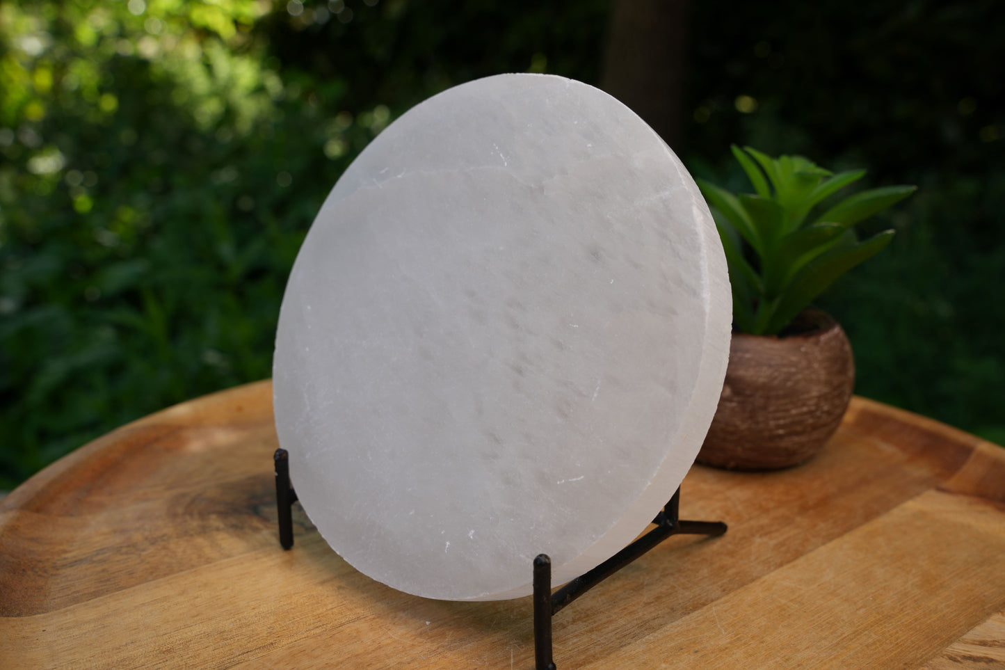 Selenite Charging Plate | Reiki Infused