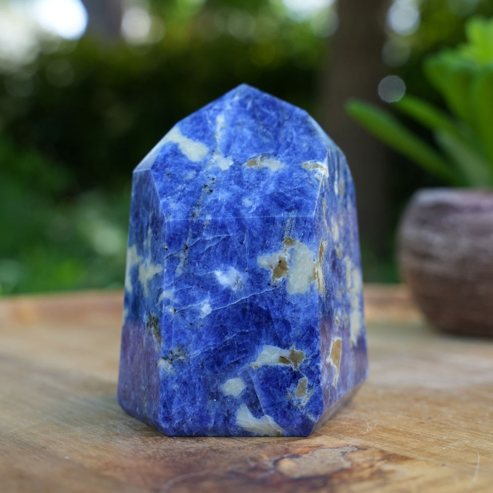 
                  
                    Sodalite Towers | AAA Grade | Reiki Infused
                  
                