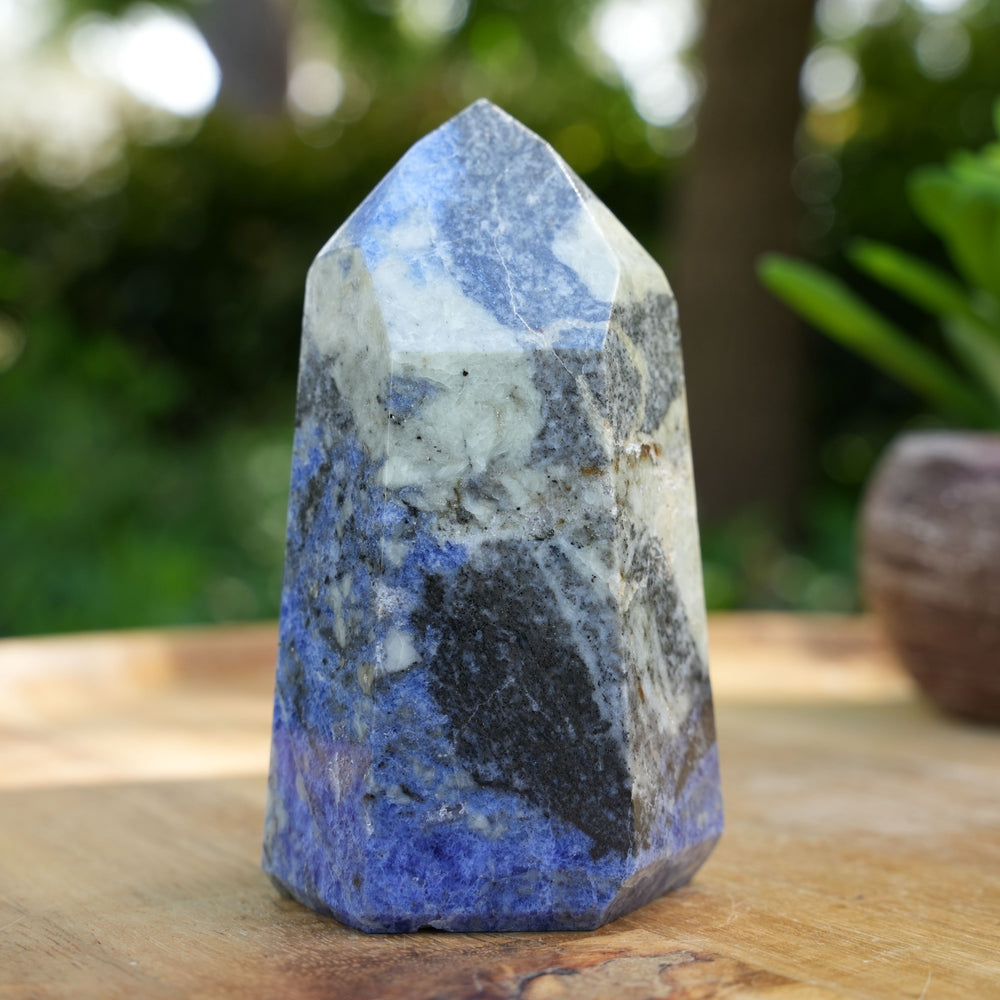 
                  
                    Sodalite Towers | AAA Grade | Reiki Infused
                  
                