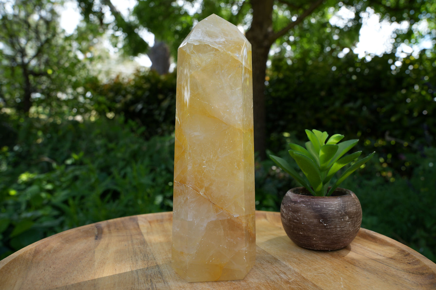 Large Golden Healer Towers | AAA Grade | Reiki Infused