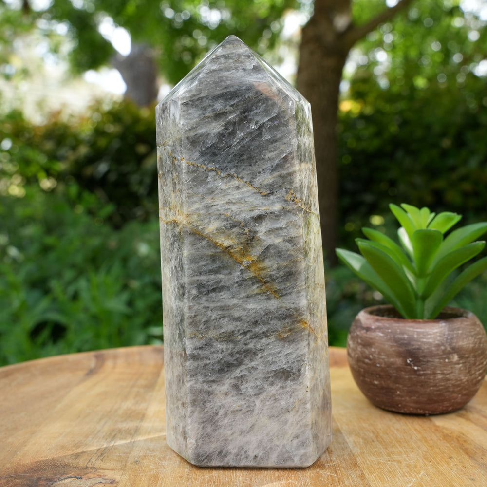 Large Black Moonstone Towers | AAA Grade | Reiki Infused