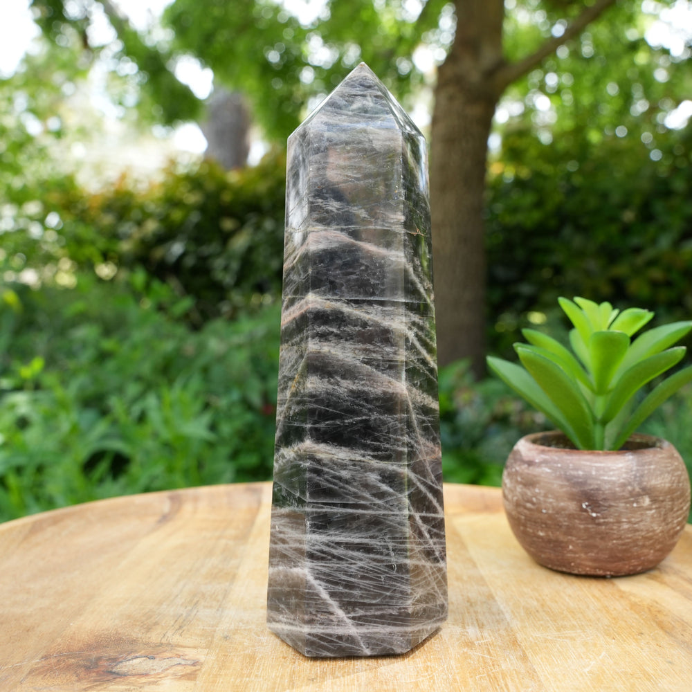 
                  
                    Large Black Moonstone Towers | AAA Grade | Reiki Infused
                  
                