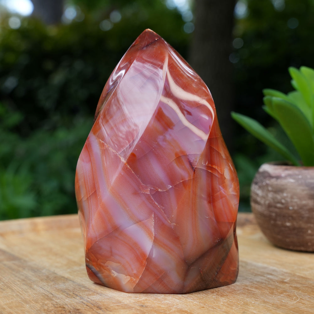 Carnelian Flame Towers | A Grade | Reiki Infused