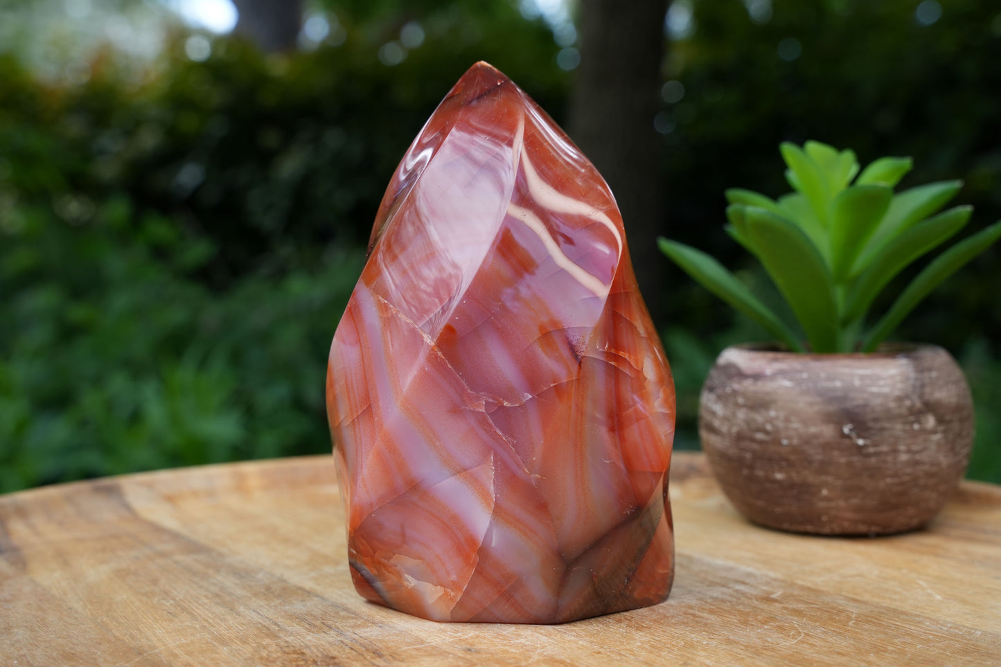 Carnelian Flame Towers | A Grade | Reiki Infused