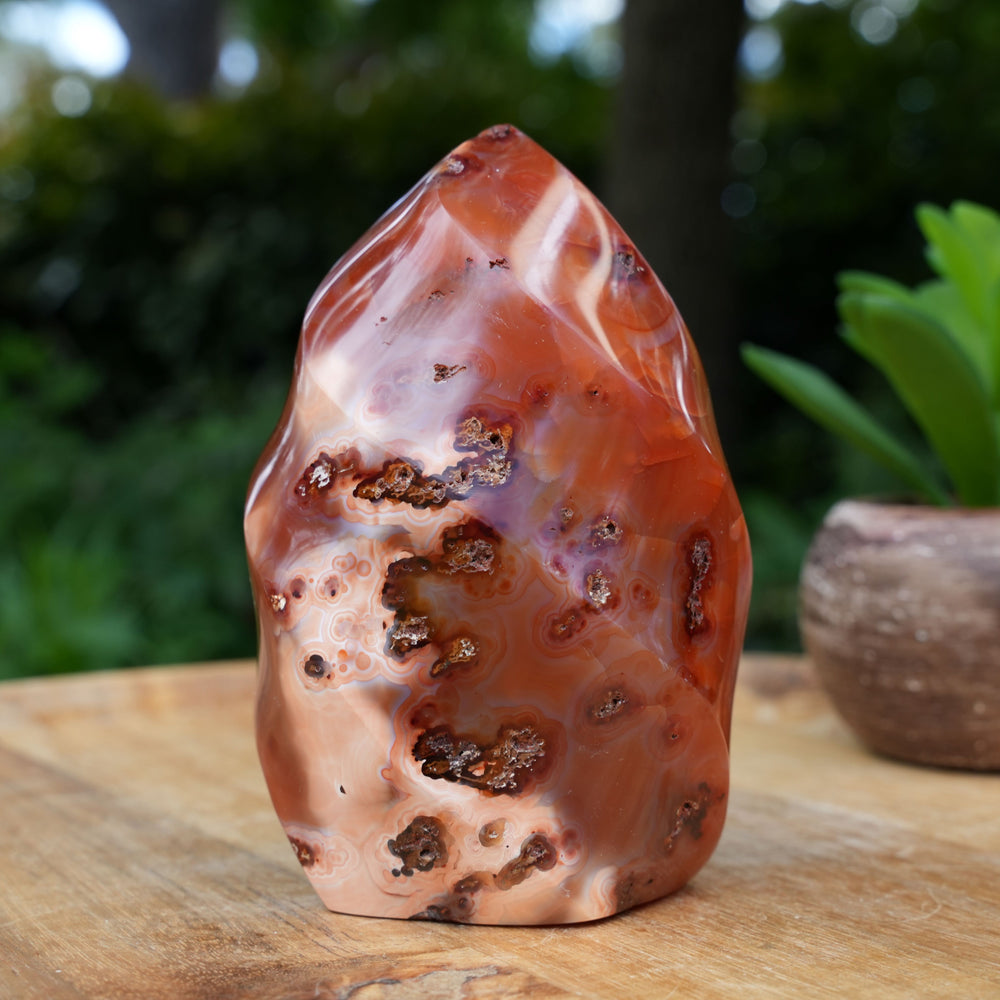 Carnelian Flame Towers | A Grade | Reiki Infused