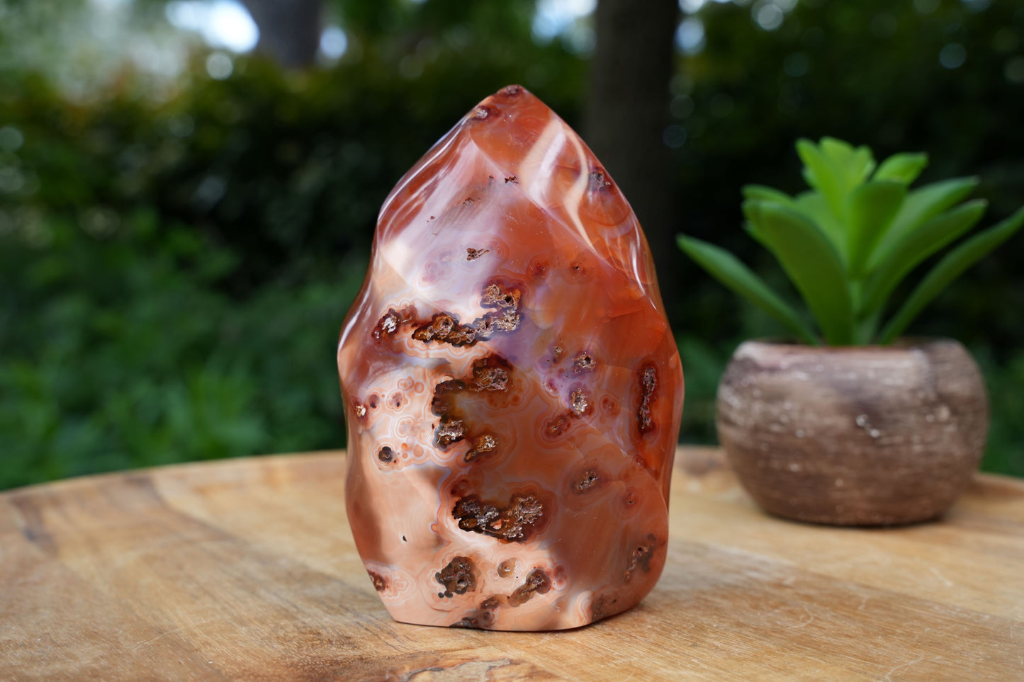 Carnelian Flame Towers | A Grade | Reiki Infused