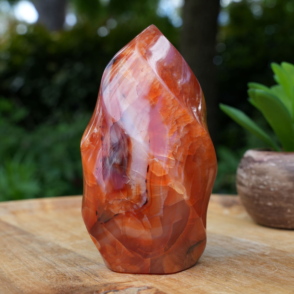 
                  
                    Carnelian Flame Towers | A Grade | Reiki Infused
                  
                