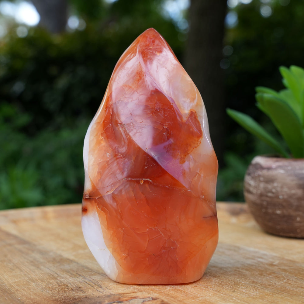 
                  
                    Carnelian Flame Towers | A Grade | Reiki Infused
                  
                