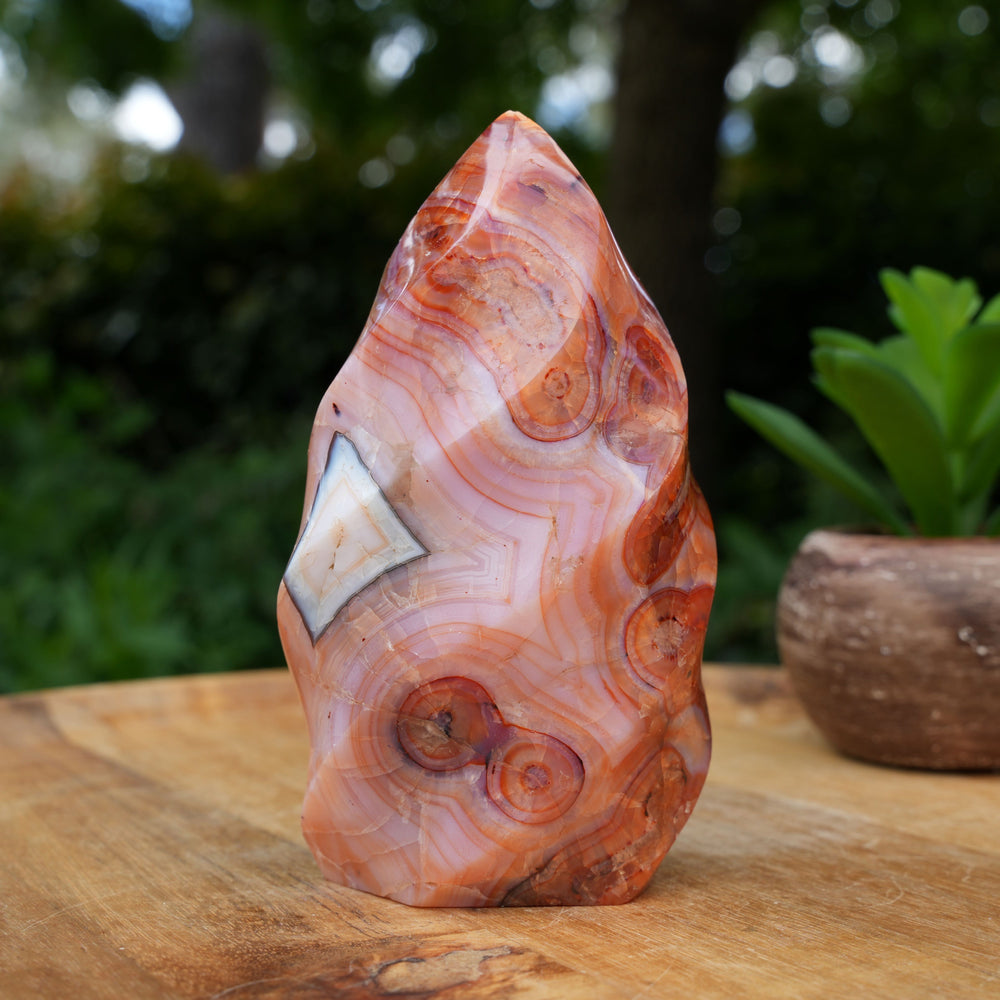 
                  
                    Carnelian Flame Towers | A Grade | Reiki Infused
                  
                