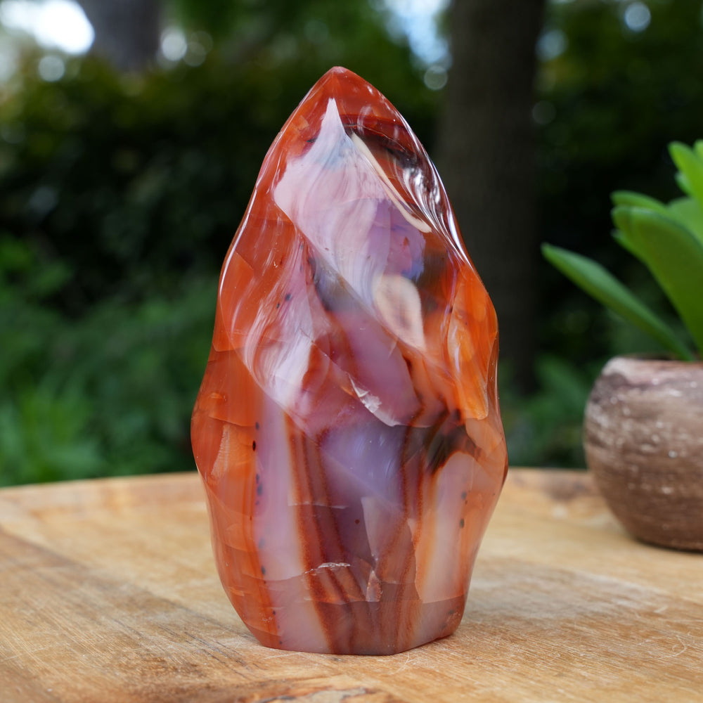 
                  
                    Carnelian Flame Towers | A Grade | Reiki Infused
                  
                