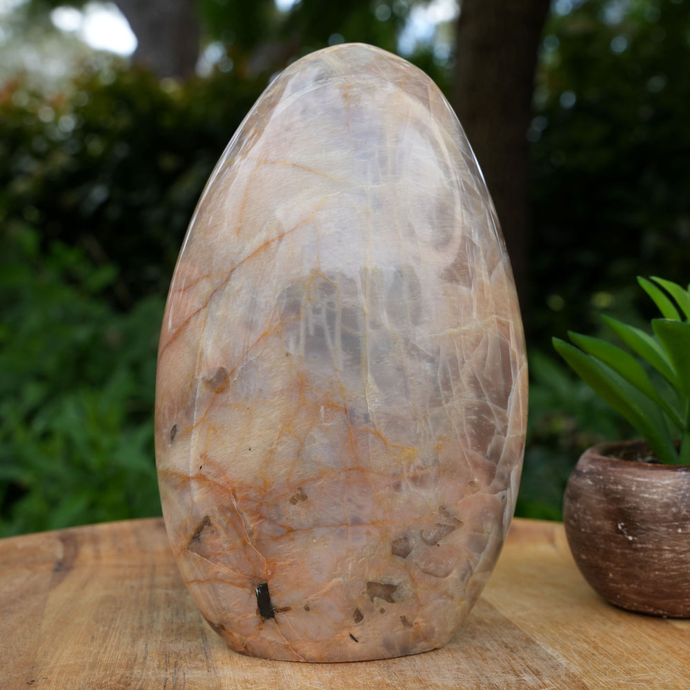 
                  
                    Peach Moonstone FreeForms | AAA Grade | Reiki Infused
                  
                