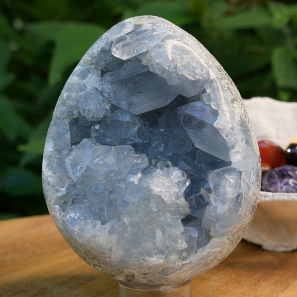 
                  
                    Celestite Cluster Egg | AAA Grade | Reiki Infused
                  
                
