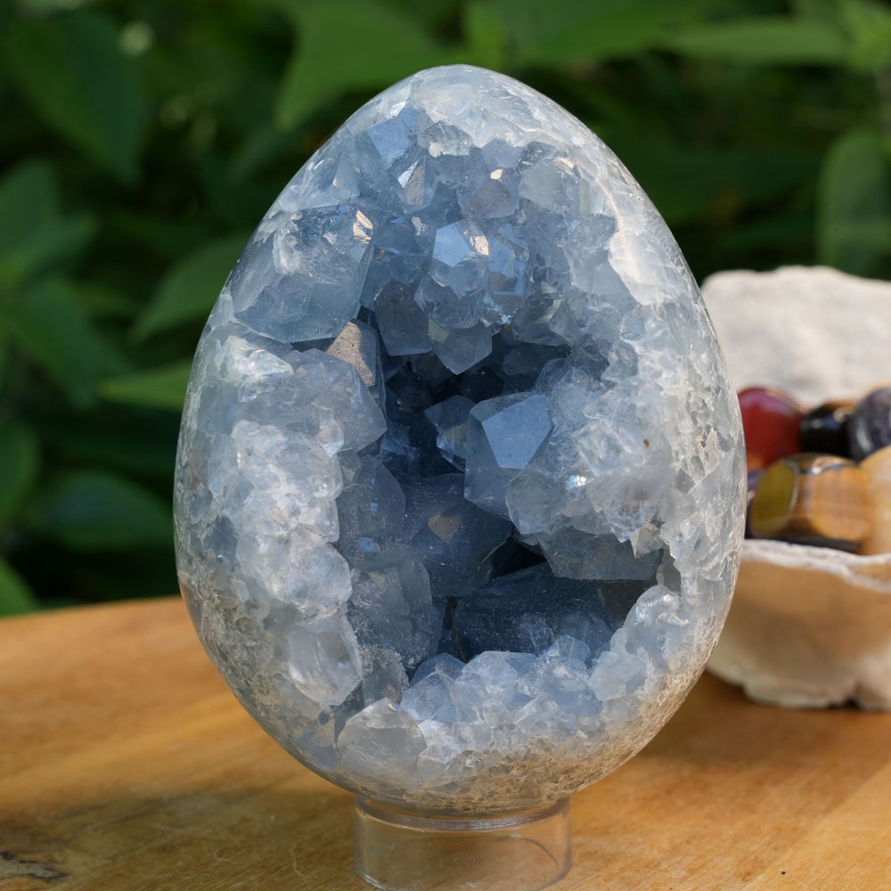 
                  
                    Celestite Cluster Egg | AAA Grade | Reiki Infused
                  
                
