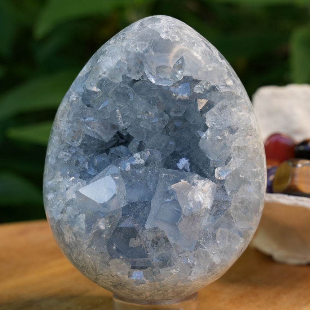 
                  
                    Celestite Cluster Egg | AAA Grade | Reiki Infused
                  
                