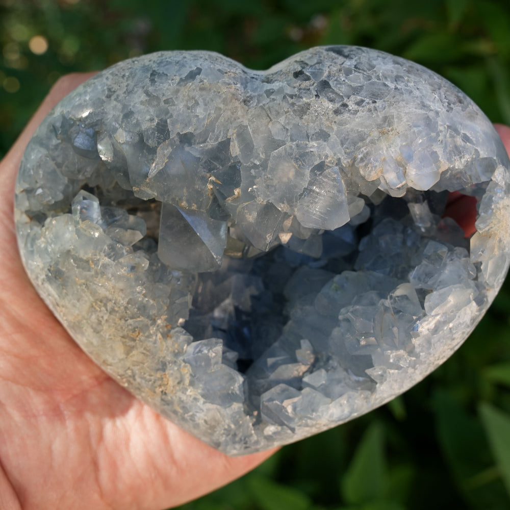 
                  
                    Celestite Cluster Heart | AAA Grade | Reiki Infused
                  
                