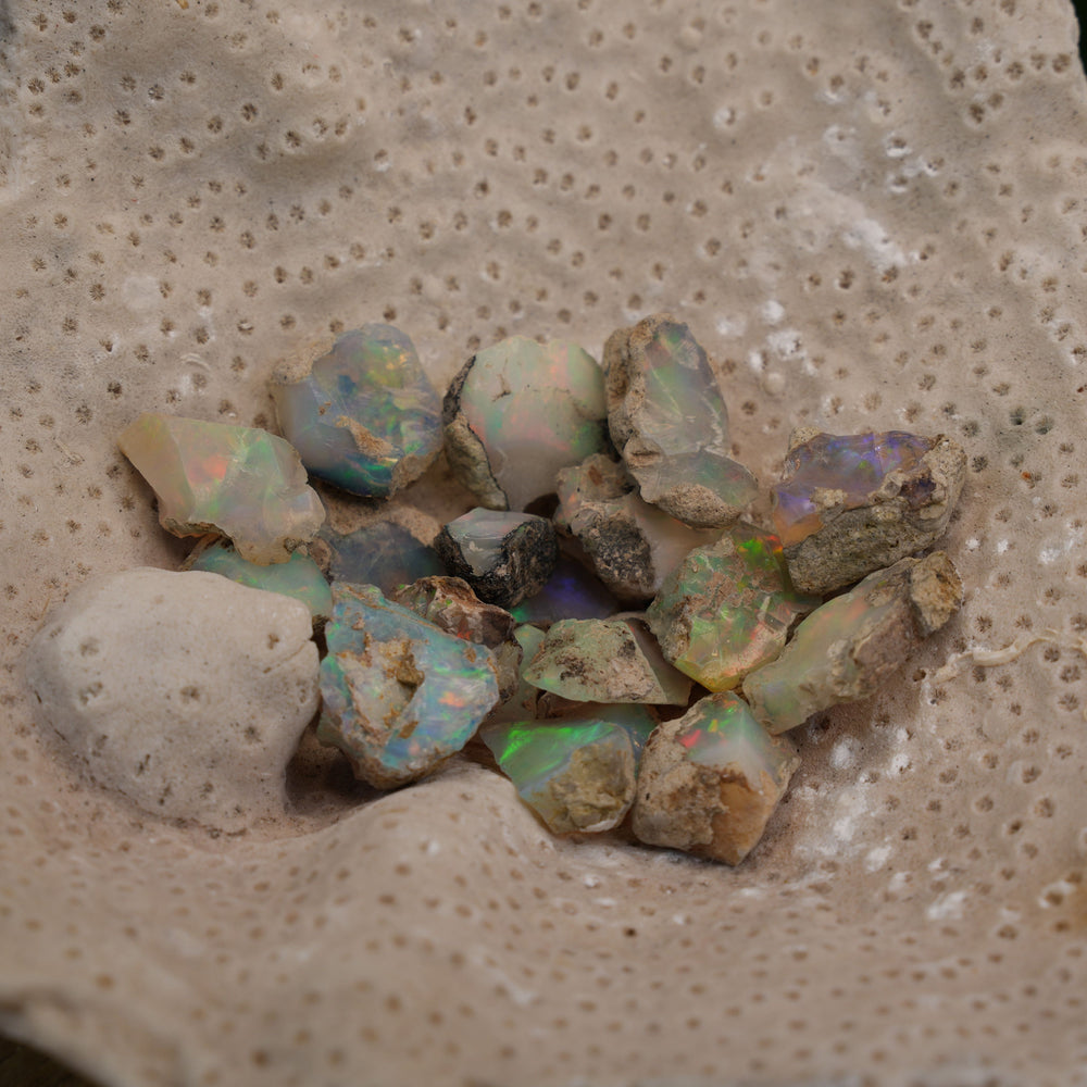 
                  
                    Small Opal Pieces | High Quality | Reiki Infused
                  
                