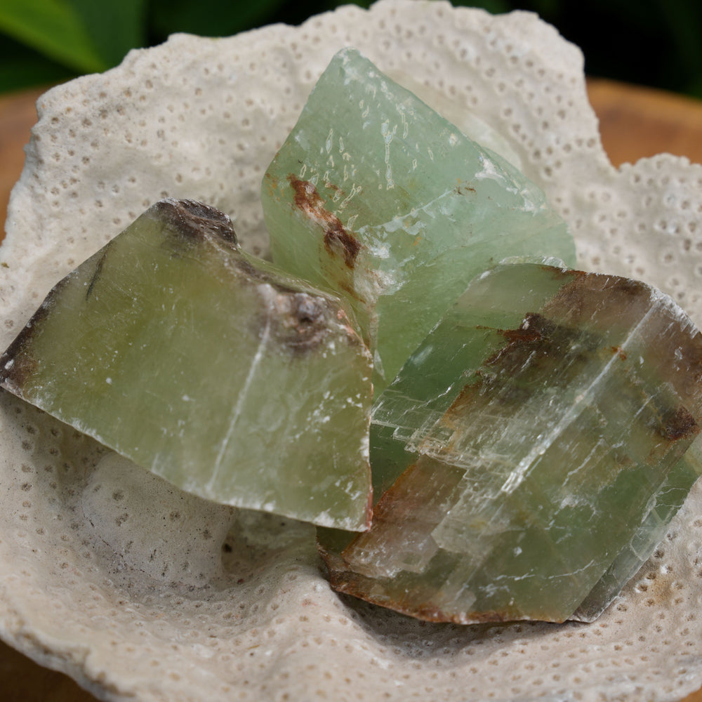 
                  
                    Green Calcite Rough | Reiki Infused
                  
                