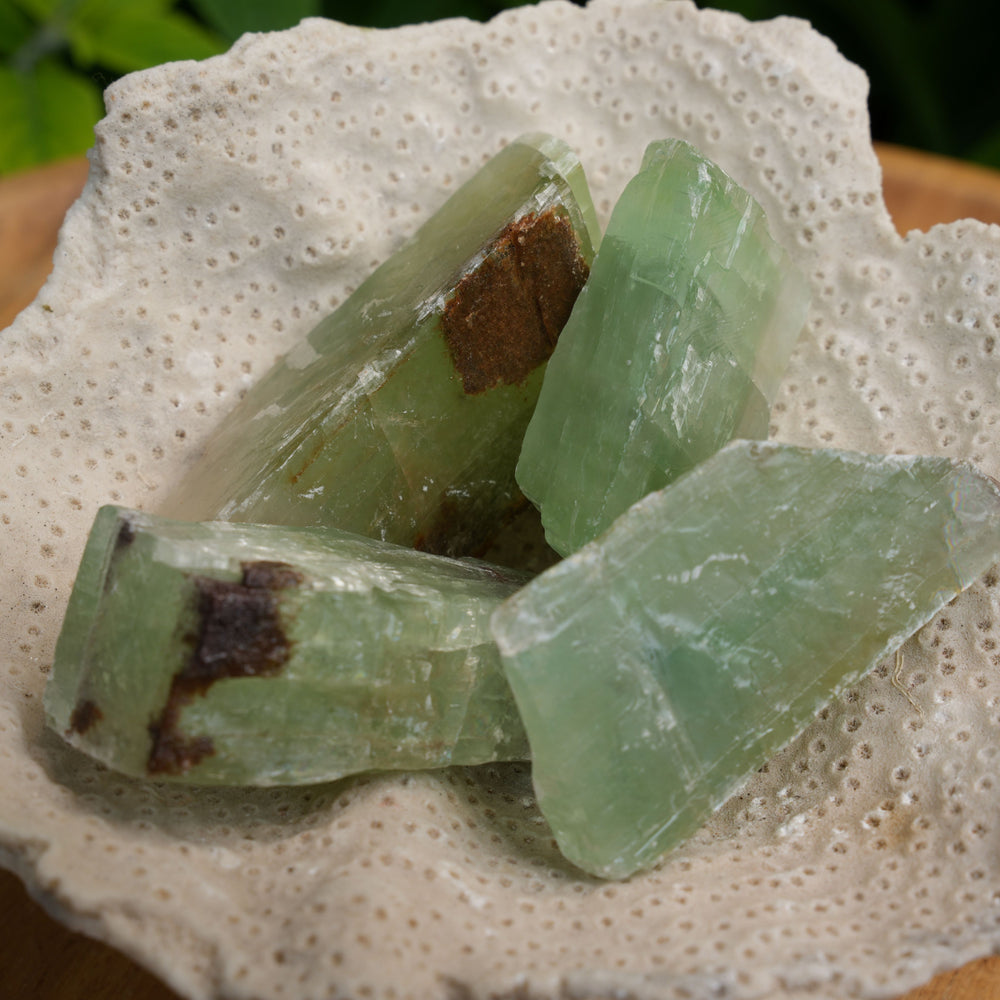 
                  
                    Green Calcite Rough | Reiki Infused
                  
                