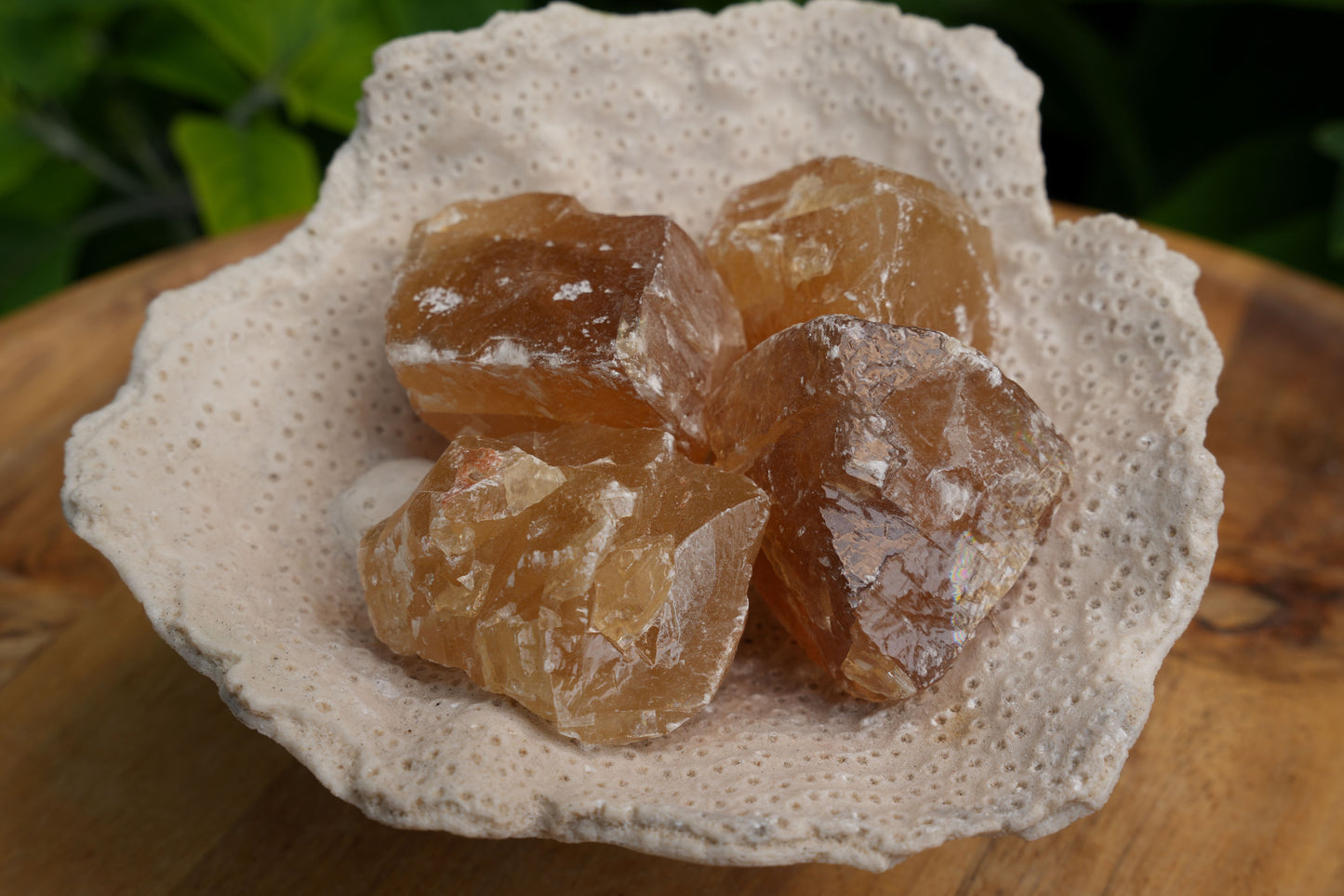 Golden Calcite Rough | Reiki Infused