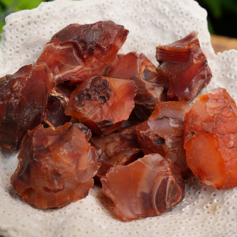 
                  
                    Raw Carnelian Pieces | Reiki Infused
                  
                