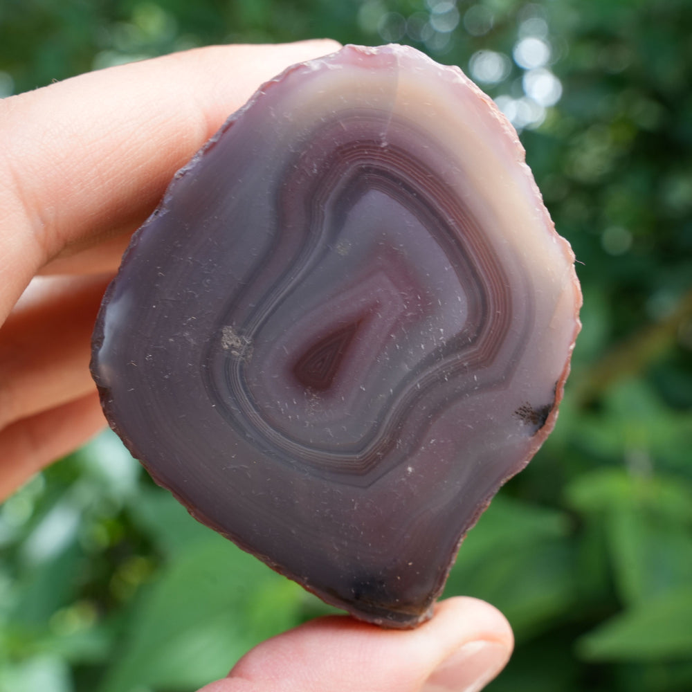 
                  
                    High Quality Unique Agate Freeform | AAA Grade | Reiki Infused
                  
                