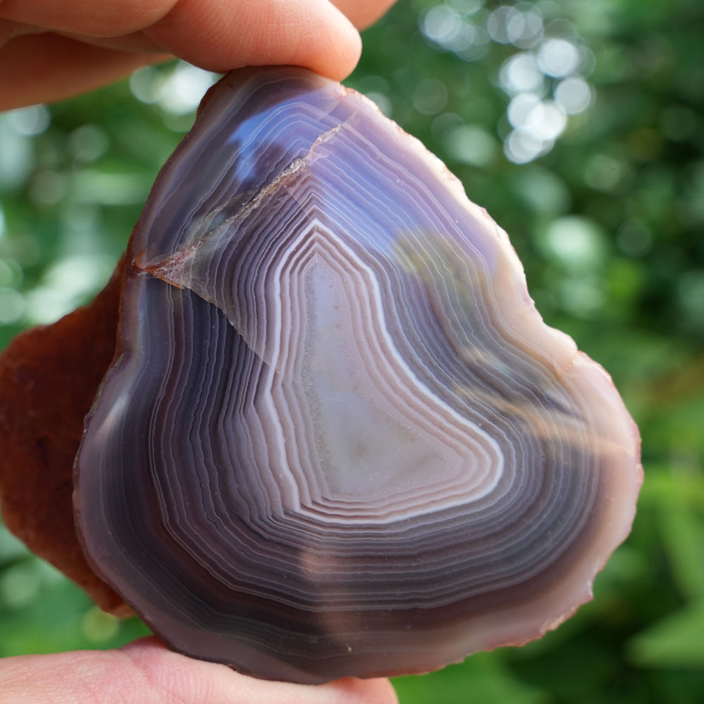 
                  
                    High Quality Unique Agate Freeform | AAA Grade | Reiki Infused
                  
                