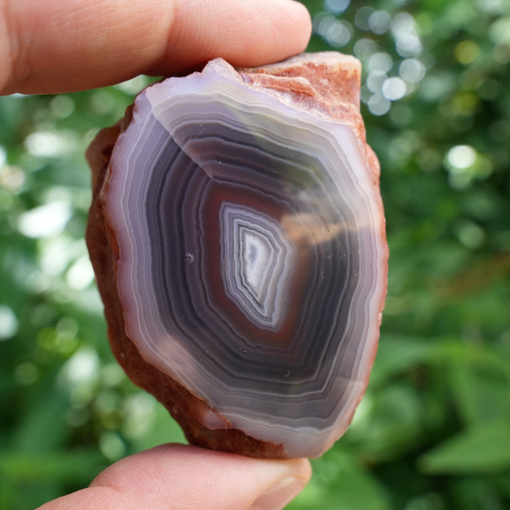 
                  
                    High Quality Unique Agate Freeform | AAA Grade | Reiki Infused
                  
                