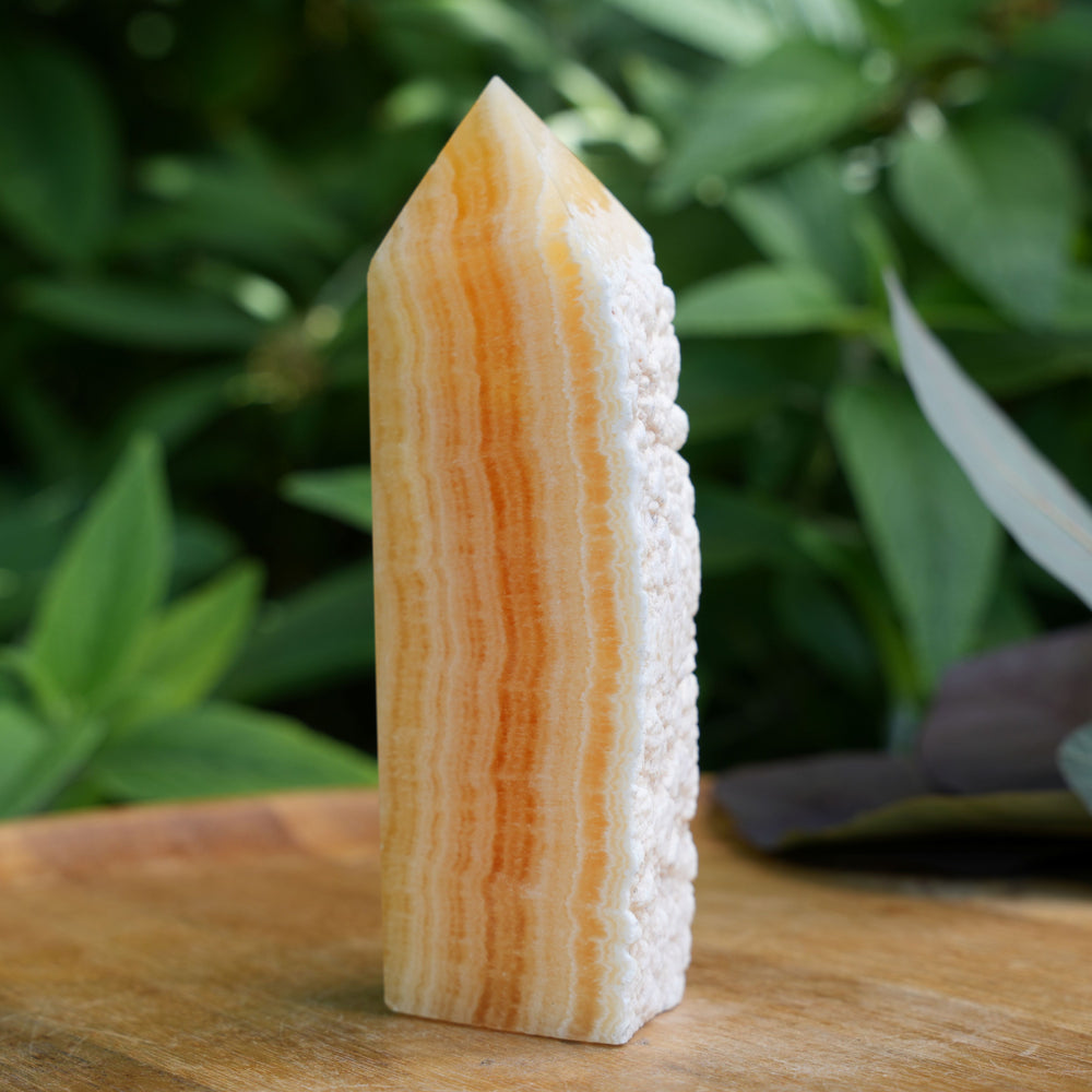 Yellow-Orange Calcite Towers with Raw Edge | Reiki Infused
