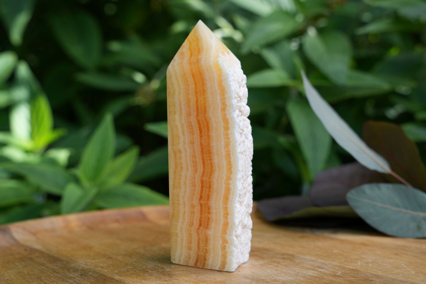 Yellow-Orange Calcite Towers with Raw Edge | Reiki Infused