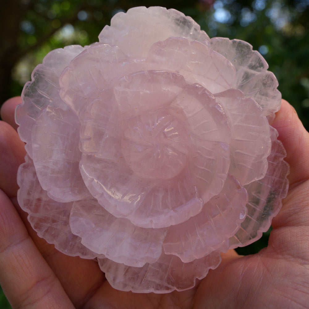 
                  
                    Rose Quartz Flowers | Hand Carved | High Grade | Reiki Infused
                  
                