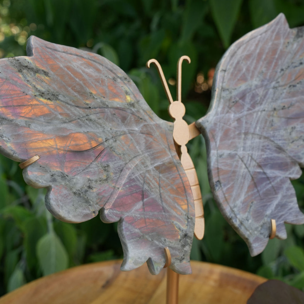 Purple Flash Labradorite Butterfly | Hand Carved | Reiki Infused