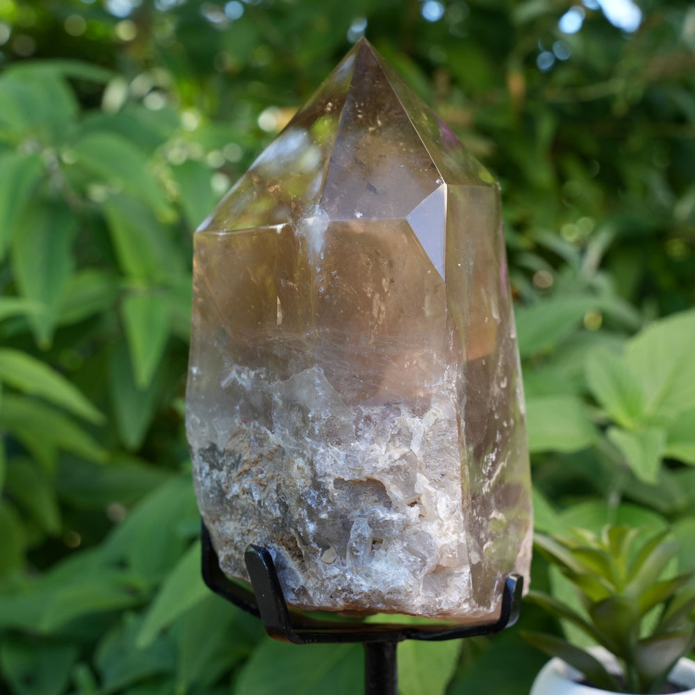 
                  
                    Natural Citrine Generator | With Stand | Reiki Infused
                  
                