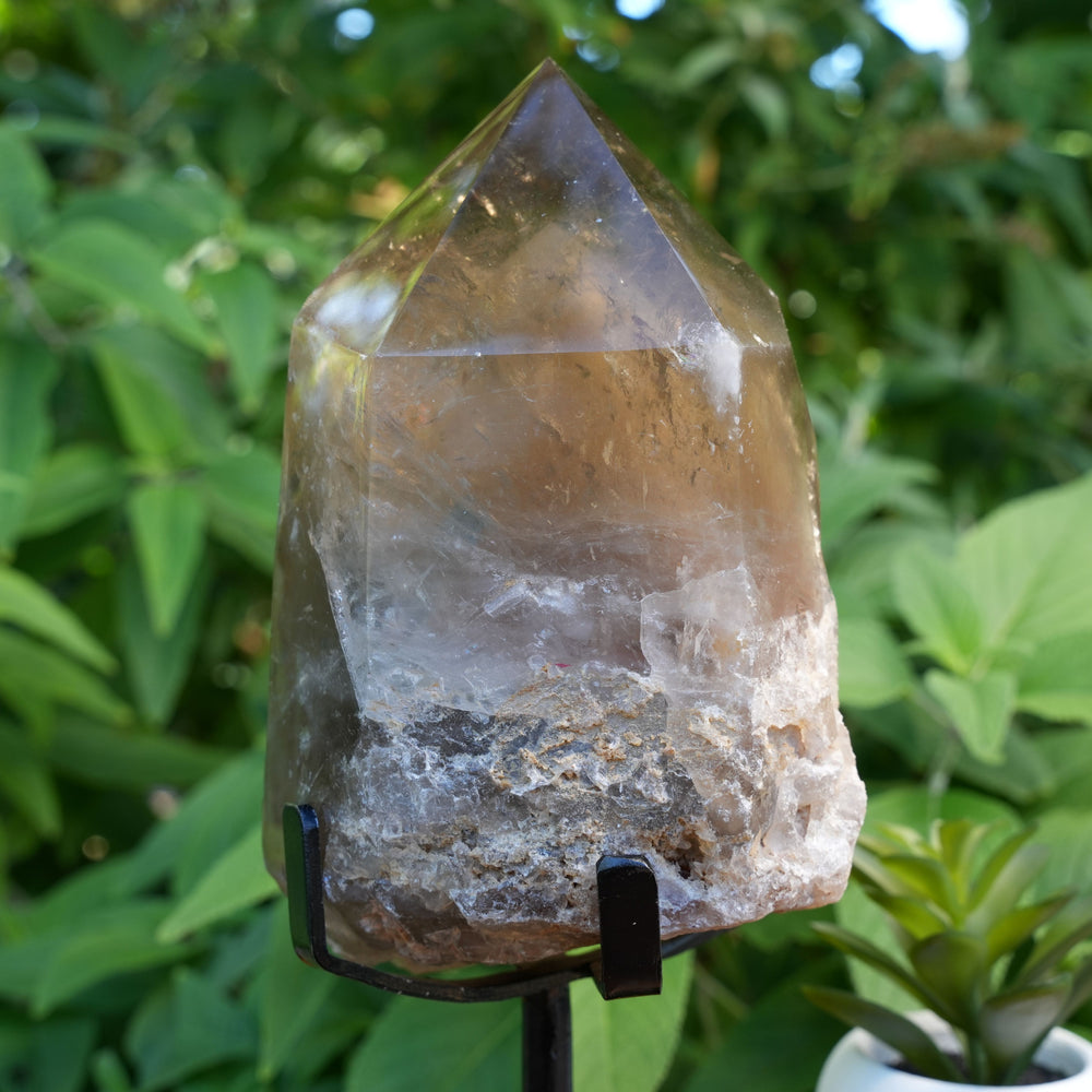 
                  
                    Natural Citrine Generator | With Stand | Reiki Infused
                  
                