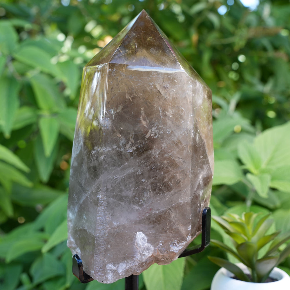 
                  
                    Natural Citrine Generator | With Stand | Reiki Infused
                  
                