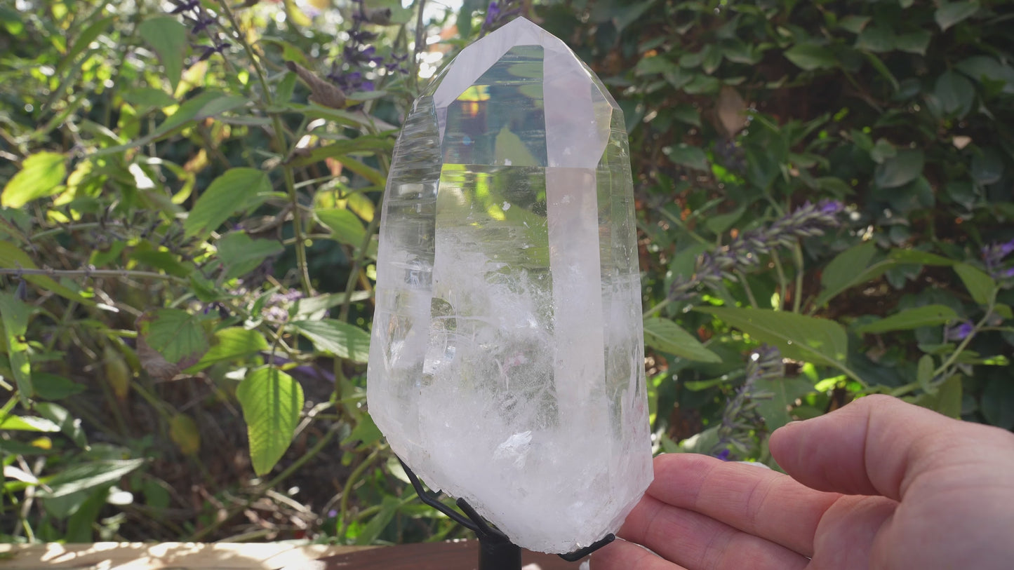 AAA Grade Large Lemurian Star Seed Quartz on Rotating Stand | Reiki Infused