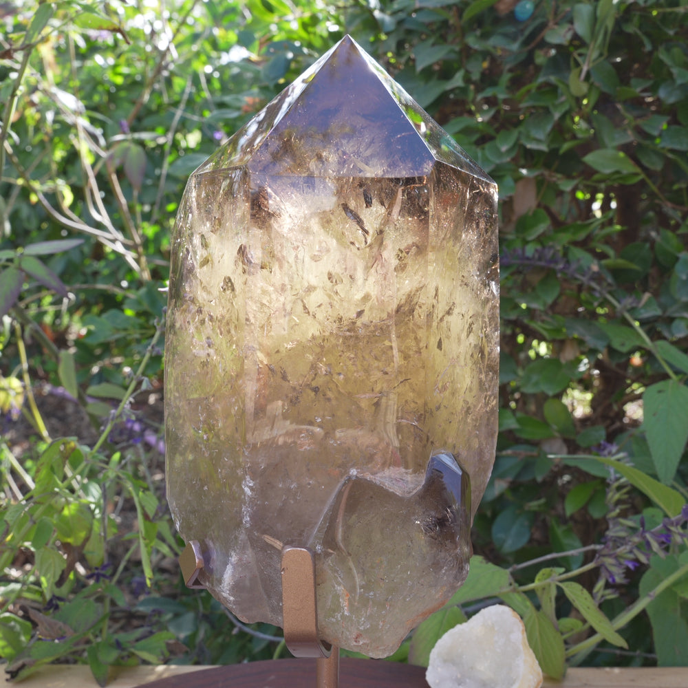 
                  
                    Load and play video in Gallery viewer, Giant Smoky Natural Citrine Generator | On Rose Gold Stand | Reiki Infused
                  
                