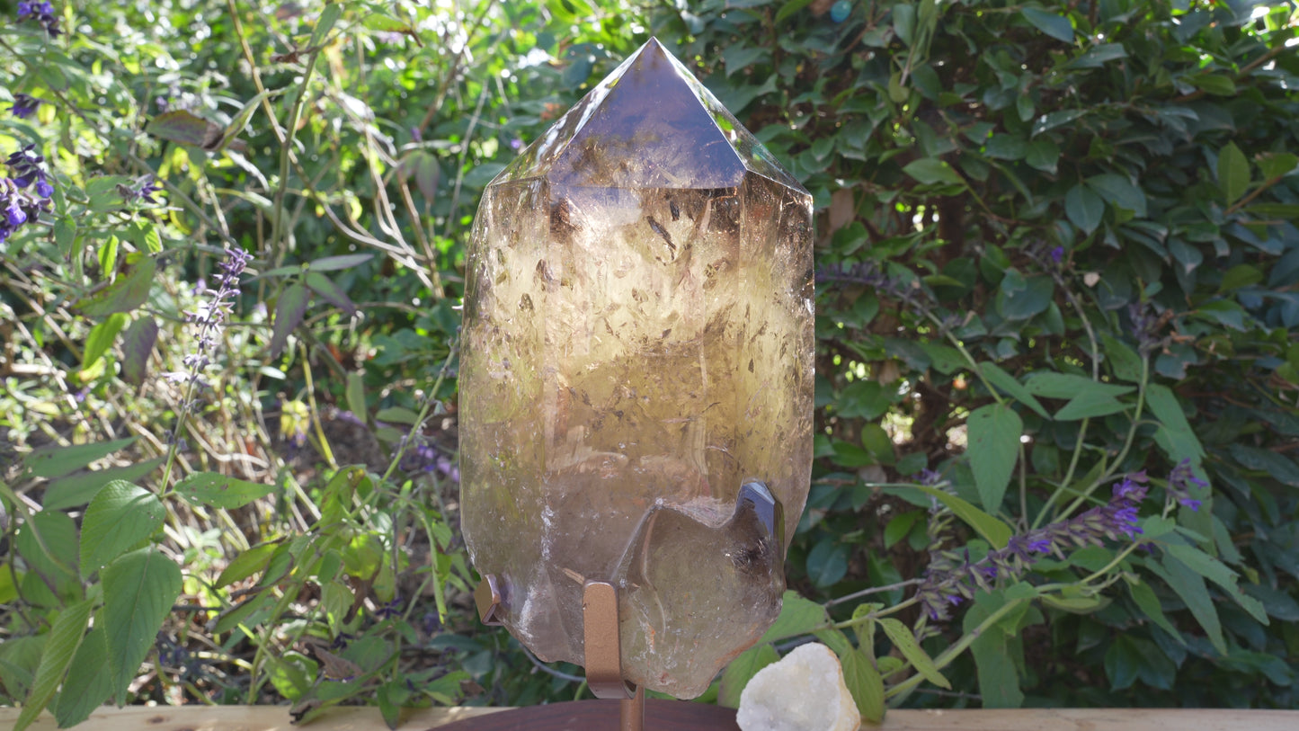 Giant Smoky Natural Citrine Generator | On Rose Gold Stand | Reiki Infused