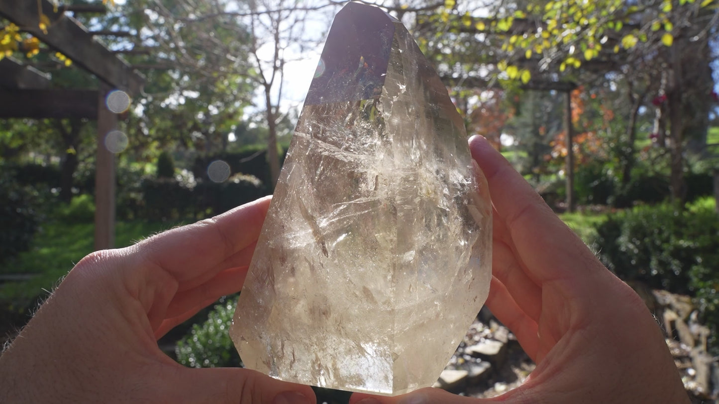 Large Natural Citrine Elestial | On Stand | Reiki Infused