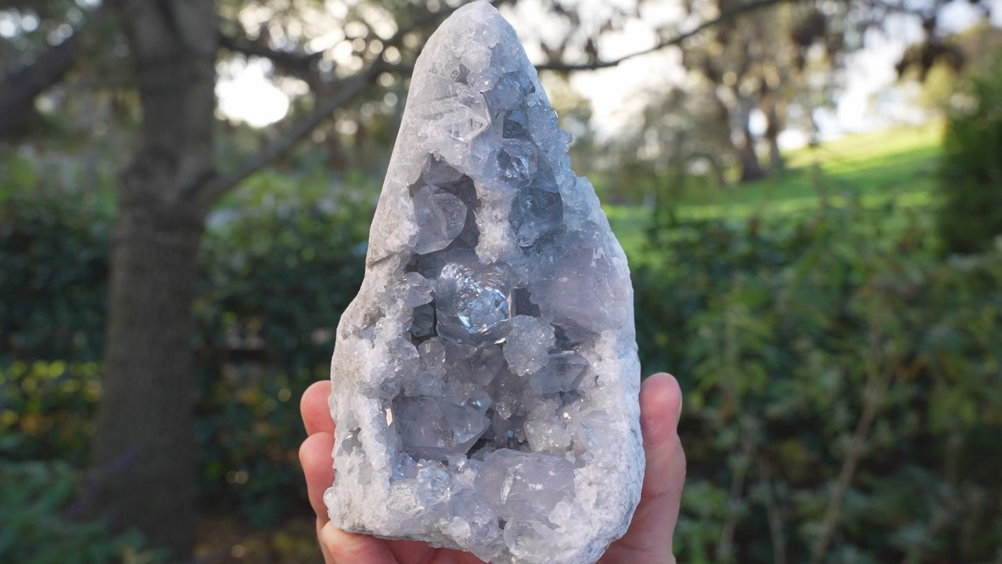 Large Celestite Cave Cluster | AAA Grade | Reiki Infused