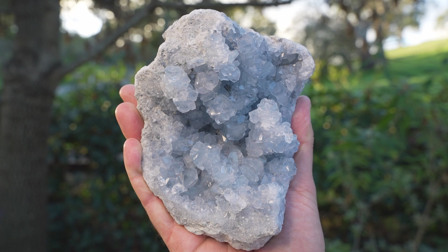 Large Celestite Cluster | High Grade | Reiki Infused