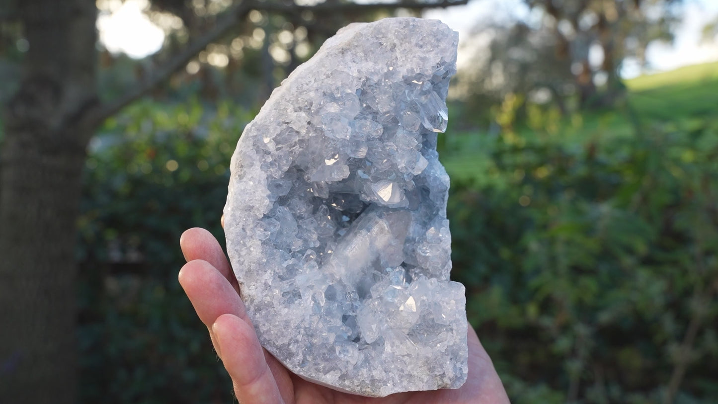 Large Celestite Moon Cluster | AAA Grade | Reiki Infused